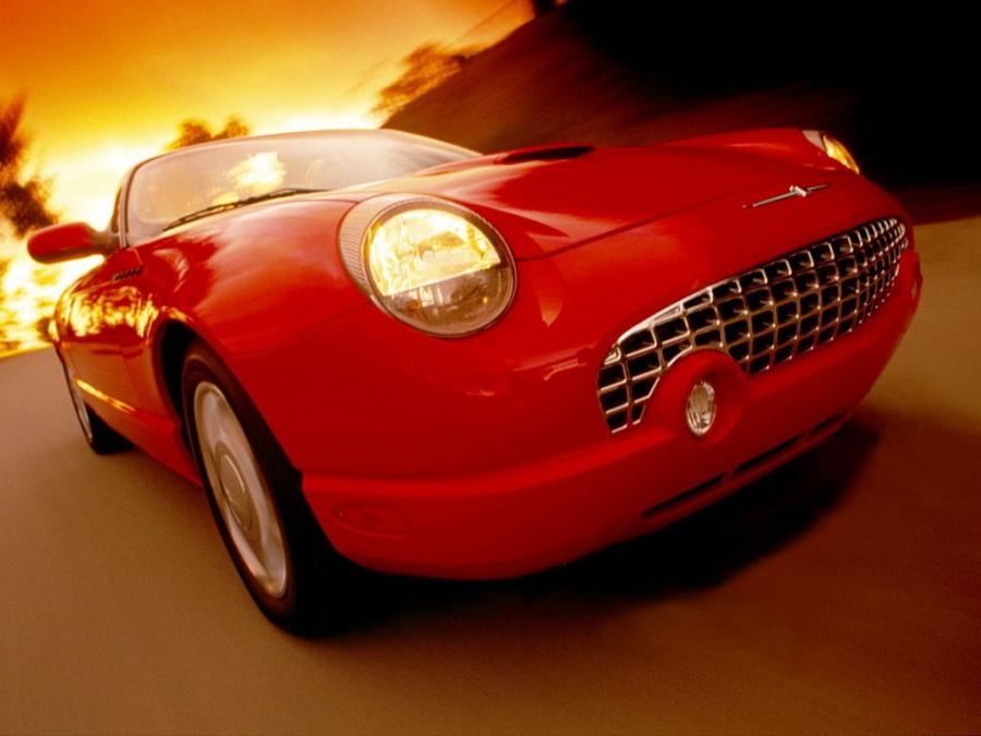  Ford Thunderbird 2002 года  (фото 153 из 161)
